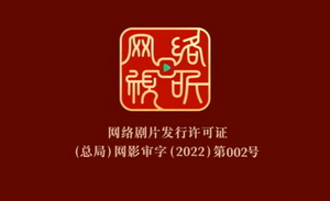 网络版“龙标”正式启用，“网标”成网剧、网络电影新“身份”
