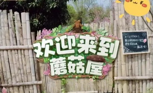 综艺市场的2022上半年：遇冷中努力自救