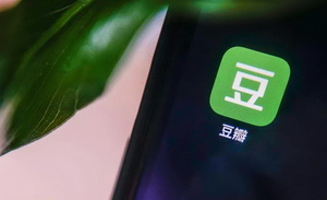 饭圈攻占文学小组，豆瓣全责？