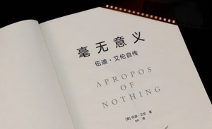 毫无意义，但是是伍迪·艾伦