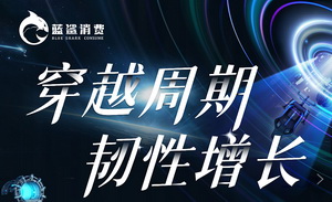 谁是消费行业数字化英雄？