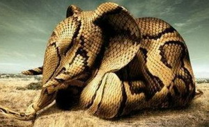 影响美国历史的化妆品巨头缘何陷入破产？