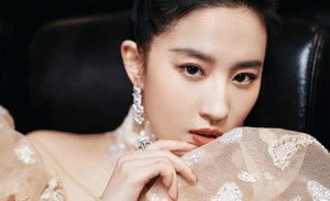 没有人能客观评价刘亦菲