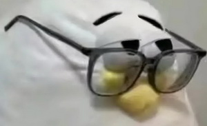 《流浪地球2》众筹破纪录，影视衍生品的春天来了吗？