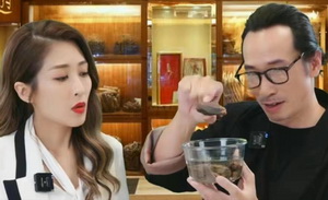 TVB不是东方甄选