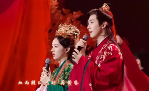 30块看《长相思》“演唱会”，值吗？