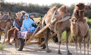 当我们看《再见爱人》时到底在看什么？