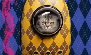 苹果做电影，是赔本赚吆喝吗？