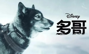 迪士尼和奈飞，一个向左一个向右