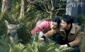 文旅+短剧，俩流量密码凑一块了