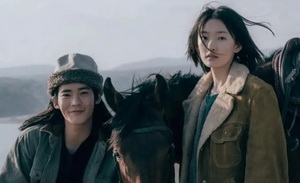 《我的阿勒泰》《新生》爆火，迷你剧迎来春天？