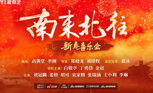 爱奇艺717会员节，不只是狂欢