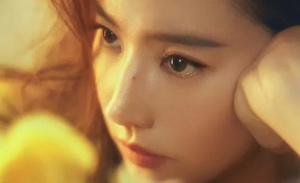 用产品经理的思维理解刘亦菲